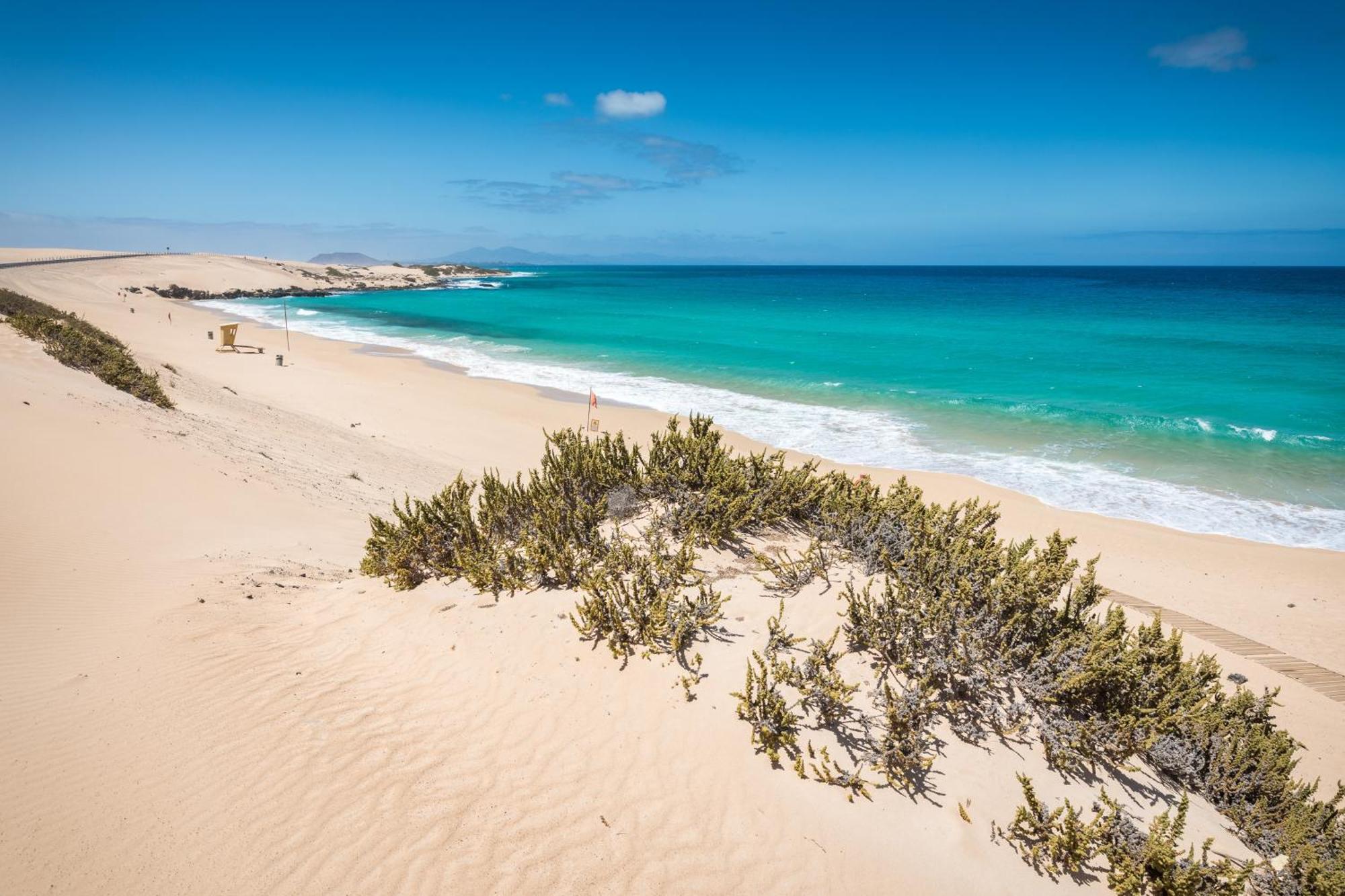 Home2Book Sea View & Terrace Escape, Playa Paraiso Costa Calma Luaran gambar
